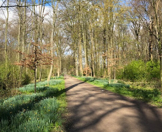 lien systemisch wandelcoach Opstap met Lien - Alles over systemisch Wandelcoaching