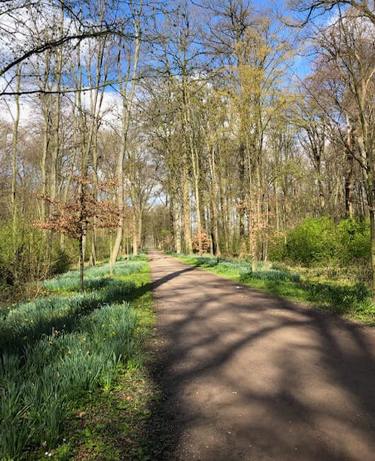 lien systemisch wandelcoach Opstap met Lien - Alles over systemisch Wandelcoaching