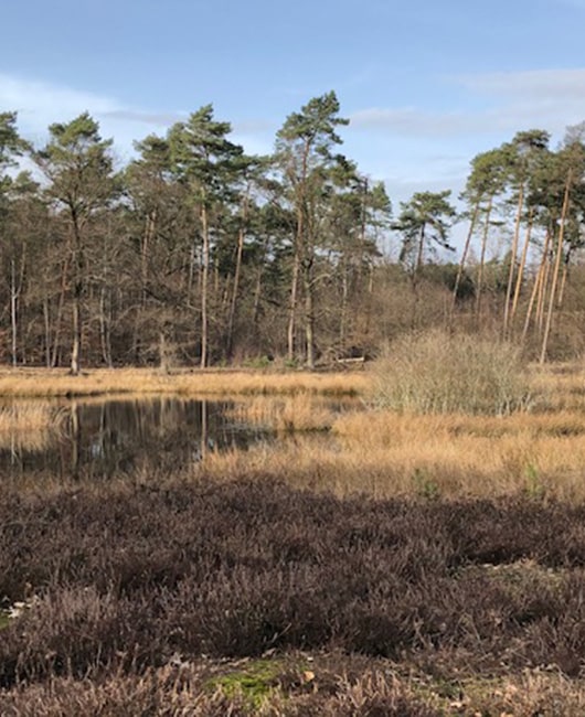 Opstap met Lien - voor wie is wandelcoaching geschikt?