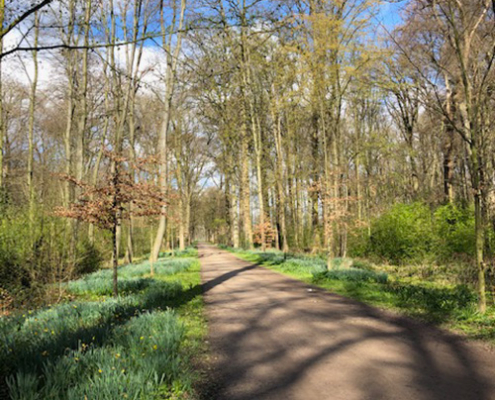 systemisch wandelcoaching opstap met lien Opstap met Lien - over systemisch wandelcoaching