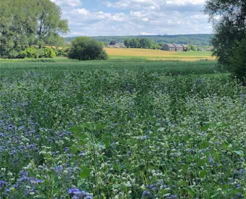 voor wie opstap met lien Opstap met Lien - voor wie?