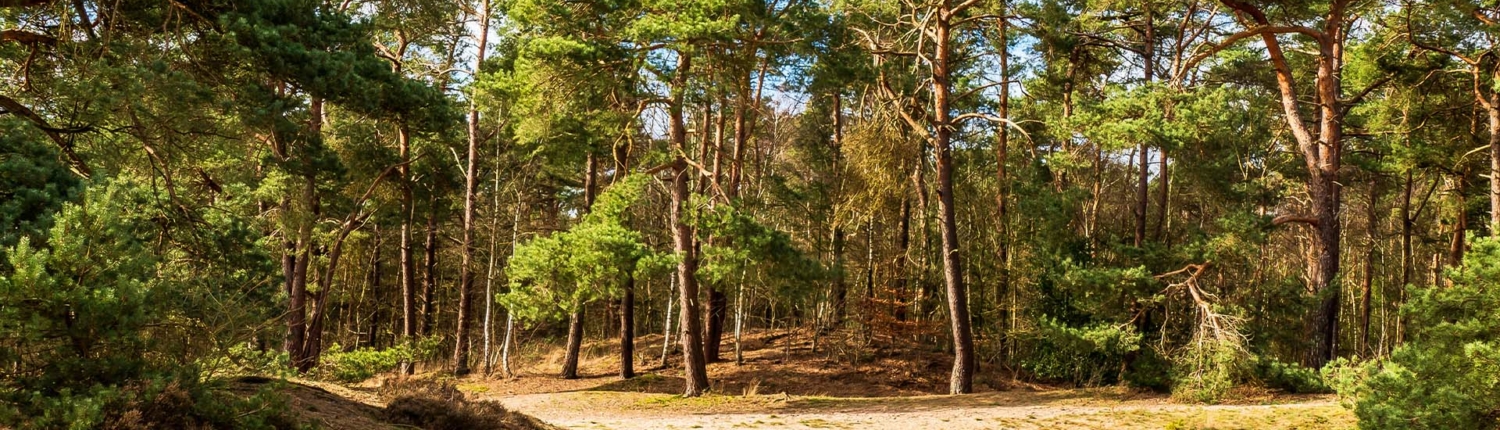 wandelcoach-opstap-met-lienv2